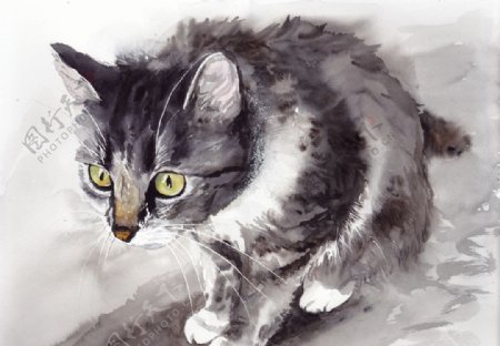 呆萌动物猫猫油画