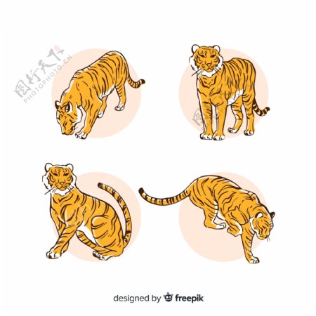 4款手绘老虎设计矢量素材