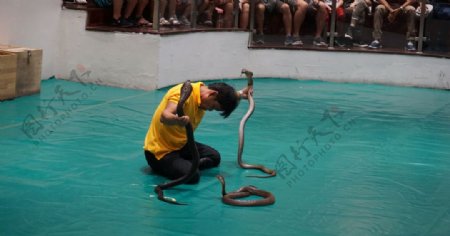 人蛇表演