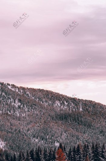 雪景