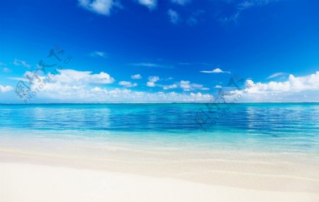 蓝天白云金色沙滩风景照片