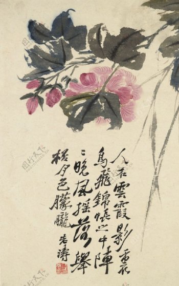 植物花鸟国画字画