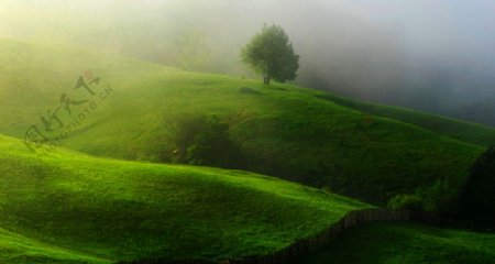 山间迷雾缭绕绿地草地马场草地