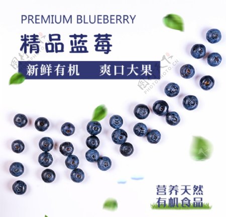 精品蓝莓标签