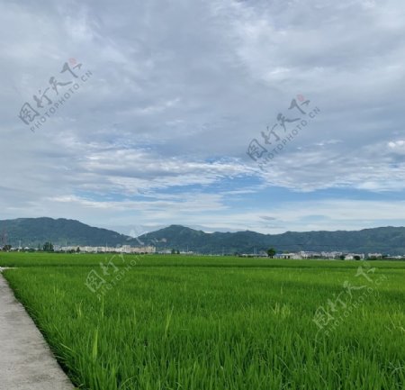 乡村的天空