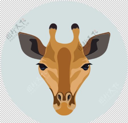 生态动物图标标志图形装饰素材