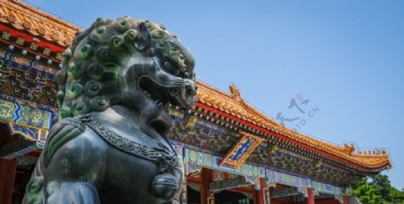 北京故宫狮子图