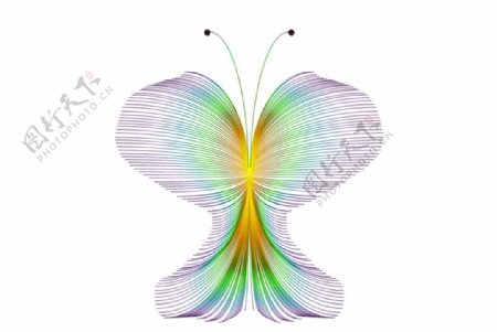 蝴蝶ai矢量设计圆形图