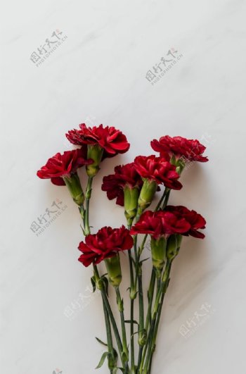 红色鲜花