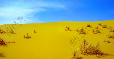 内蒙古响沙湾沙漠景观