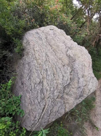 贝壳石