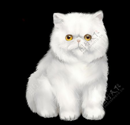 加菲猫白猫卡通插画