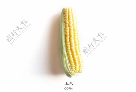 玉米免抠素材