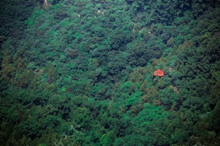 枣庄抱犊崮国家森林公园