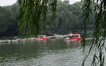 夏日风景