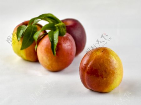 桃油桃