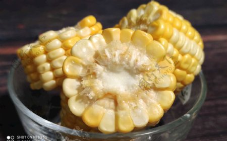 甜玉米手机拍摄农产品