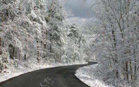 道路