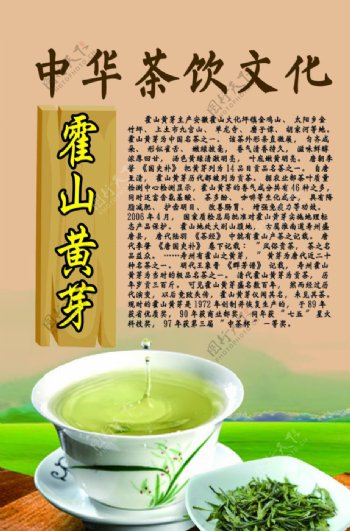中华茶饮文化之霍山黄芽