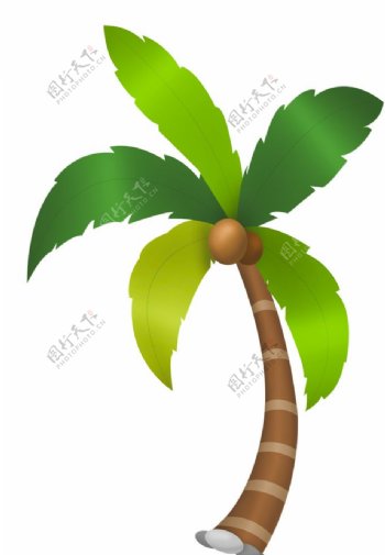 槟榔牌椰子树