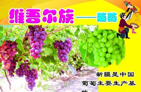维族水果葡萄少数民族