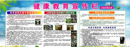贵州省野生菌防控宣传展板