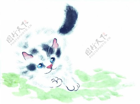 中国国画篇猫