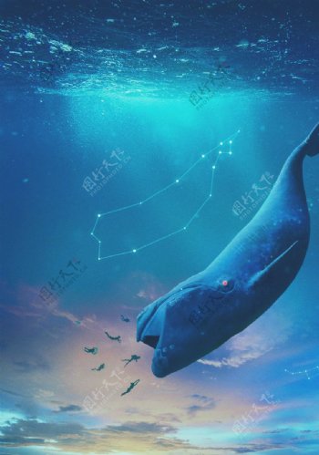 蓝鲸海洋