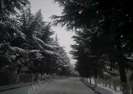 雪景照片