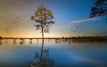 湖面树木天空自然生态背景素材