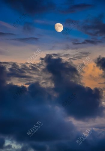 云顶月光