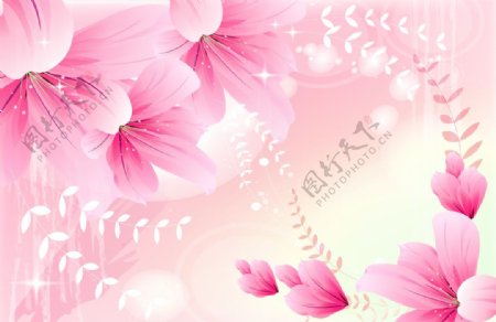 浪漫粉色浅粉色花朵