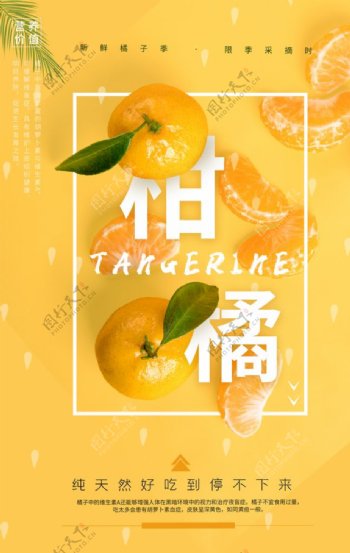 柑橘水果活动宣传海报素材