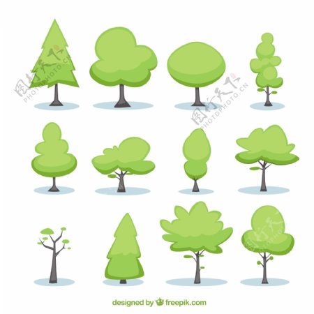 树插图