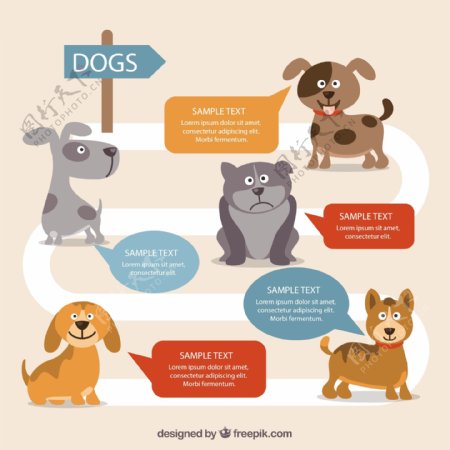 狗信息图表