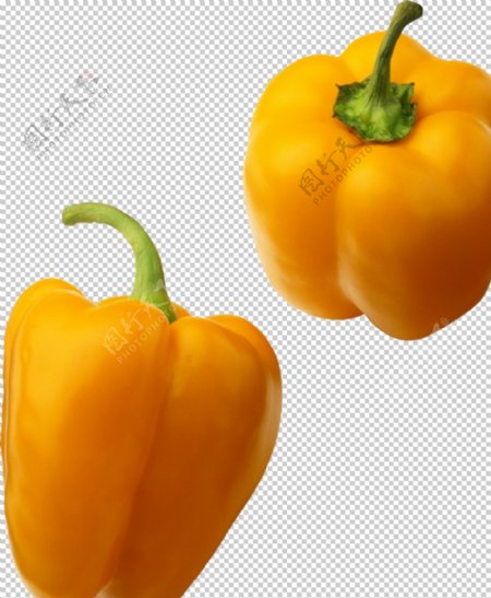 菜椒图片
