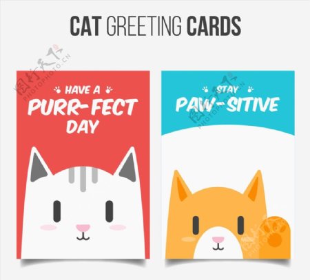 猫咪祝福卡片图片