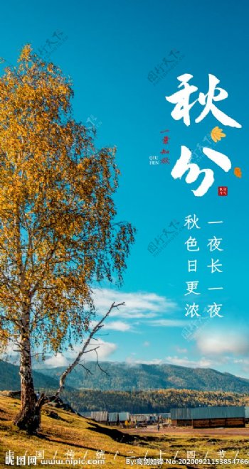 秋分节日节气摄影图海报图片