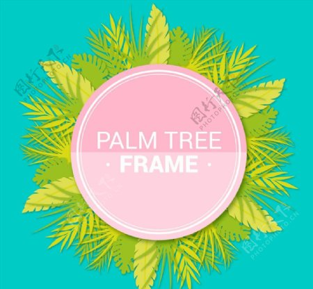 棕榈树叶框架图片