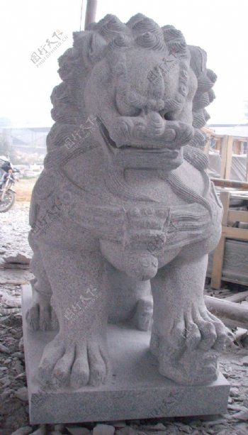 北京狮子图片