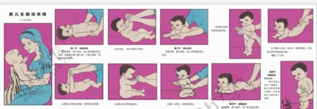 婴儿被动体操折页图片