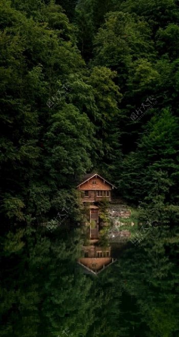 森林中的房子图片