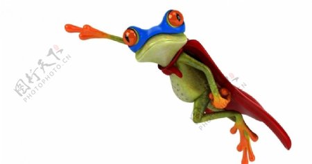蛙3D图片