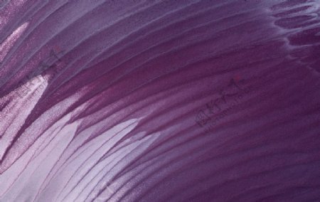 紫色油画油彩背景素材图图片