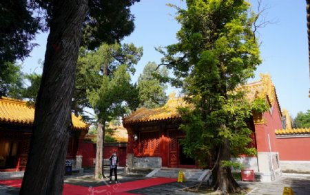 景山公园之关帝庙图片