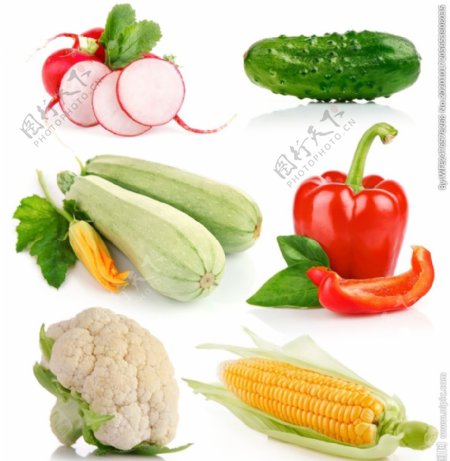 蔬菜大全图片