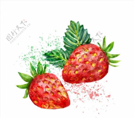 个水彩绘草莓图片