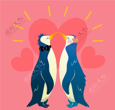 企鹅情侣和爱心图片