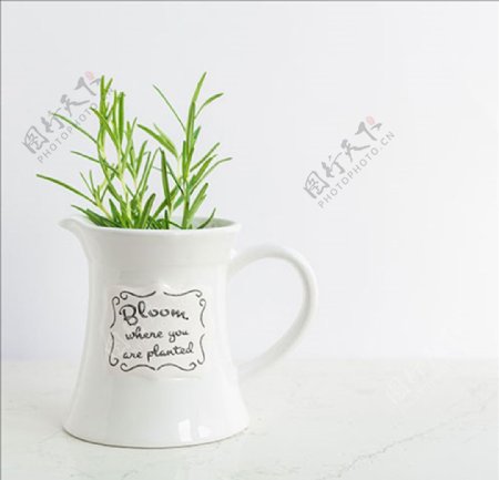 杯子生长植物生命商务图片