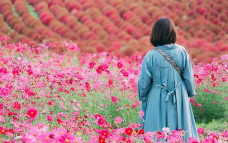 花海背影图片